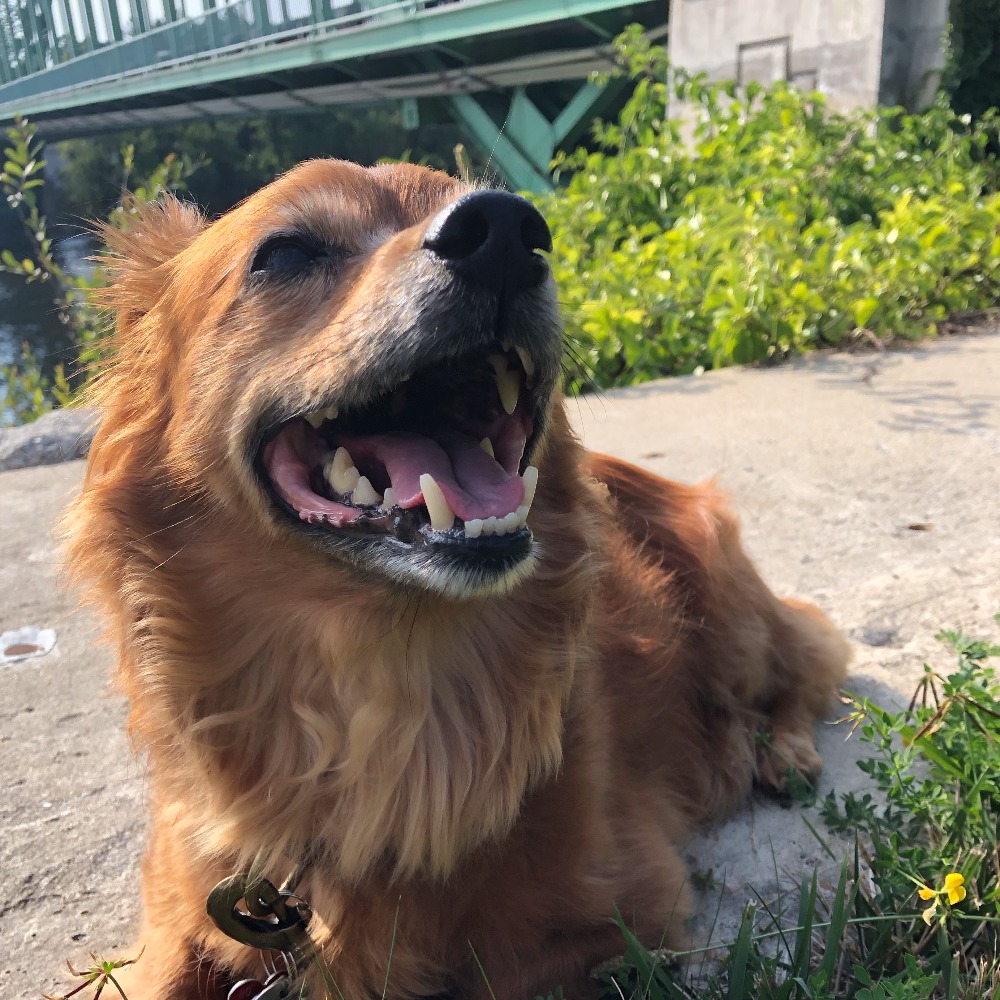 Meet your Posher, Caroline